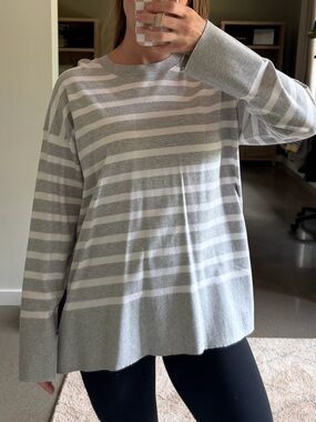 Aritzia Babaton Sweater